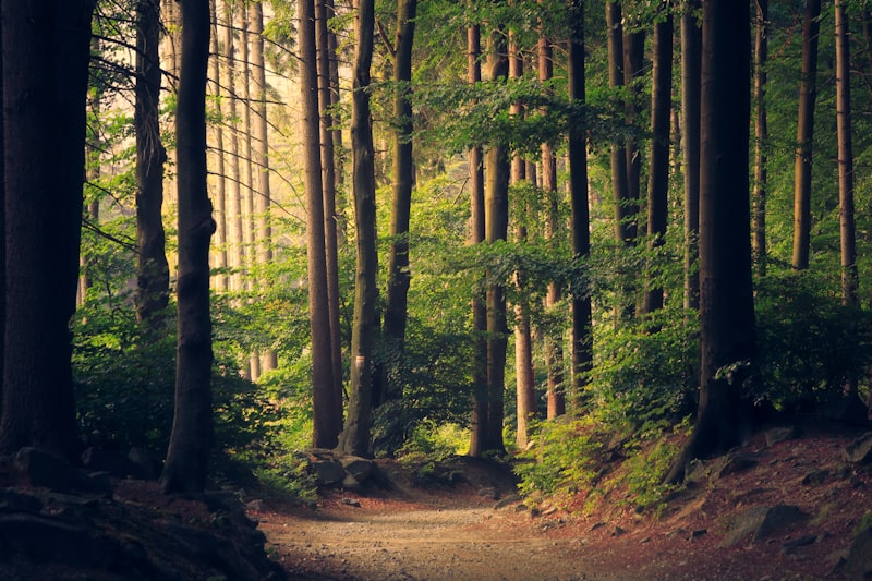 Rodeados de naturaleza